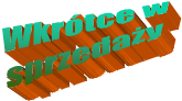 Wkr�tce w
sprzeda�y